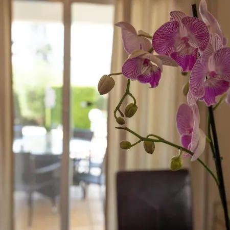 Thalassa - 3-br Coastal Retreat With Private Pool Feriehus *